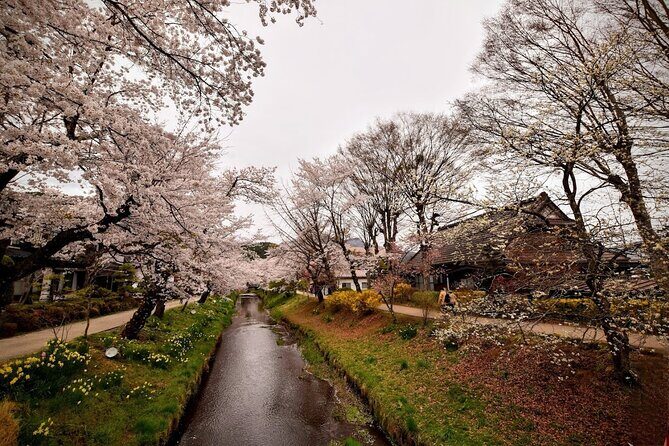 Mt Fuji Day Trip from Tokyo by Car with Photographer Guide - Stop 3: Saiko Iyashi no Sato Nemba Village and the Houses Framing Fuji