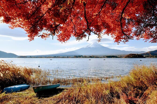 Mt Fuji Day Trip from Tokyo by Car with Photographer Guide - Price and Logistics: When $1,150 Per Group Feels Worth It