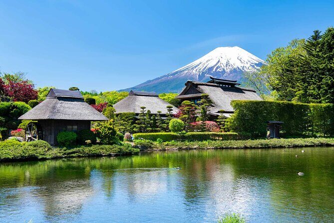 Mt Fuji Exclusive Tour with Private Car English Guide - Why This Private Fuji Day Feels Different Than a Bus Ride