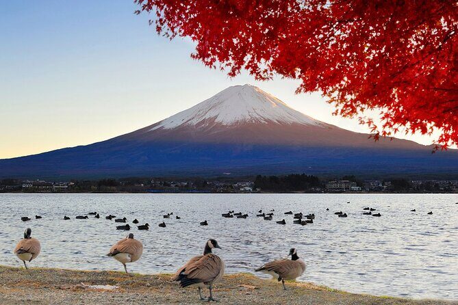 Mt Fuji Exclusive Tour with Private Car English Guide - The Private Car Value: Comfort, Control, and Photo Timing