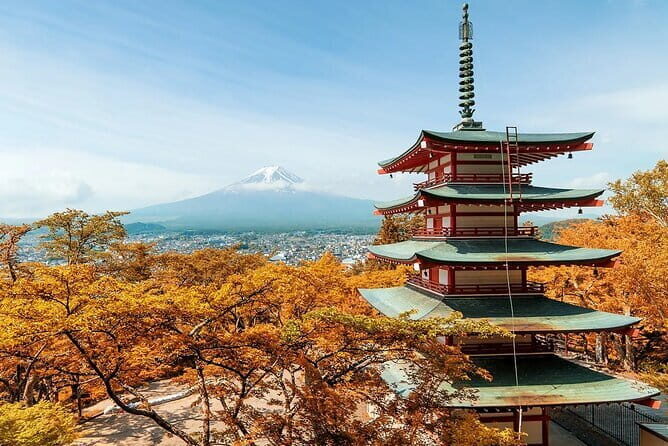 Mt Fuji Exploration Tour with Free Japanese Kusa Mochi from Tokyo - Mount Fuji planning made simple from Tokyo