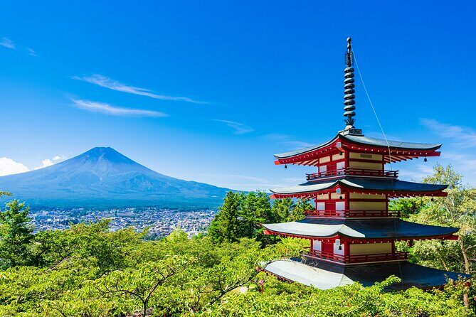 Mt. Fuji Five Lakes Private Tour with Licensed Guide (Tokyo DEP) - Key things to know before you go