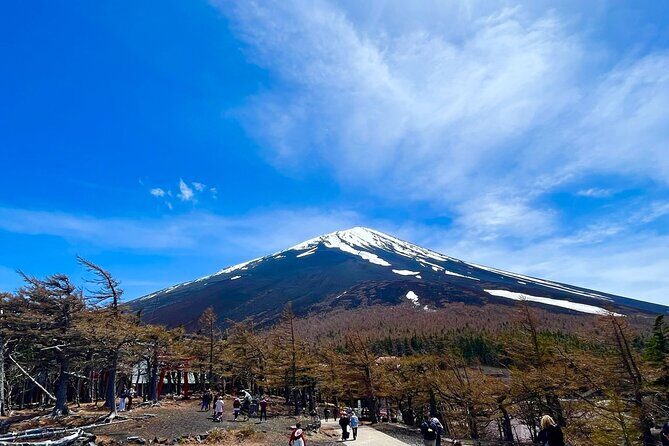 Mt. Fuji & Hakone Bus Tour Bullet Train Return & 28-Hotel Pick-up - Gotemba lunch stop: a break that also keeps the day moving