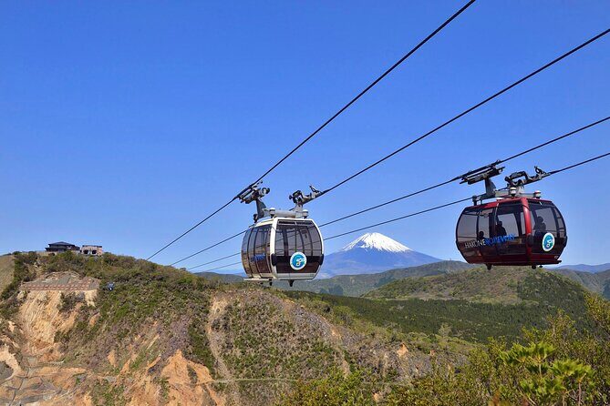 Mt. Fuji & Hakone Bus Tour Bullet Train Return & 28-Hotel Pick-up - Weather changes and substitutions: how flexible should you be?