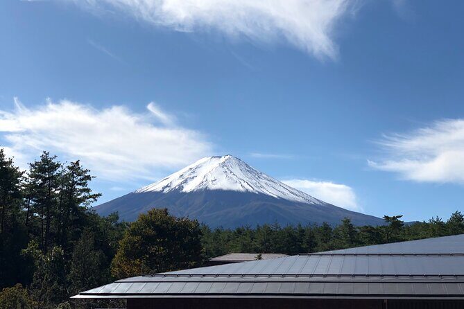 Mt. Fuji & Hakone Bus Tour Bullet Train Return & 28-Hotel Pick-up - Mt. Fuji 5th Station: how this tour maximizes your view chances