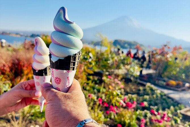Mt. Fuji & Hakone Cherry Blossom private One Day Tour - Oshino Hakkai: the short stop that rewards clear skies