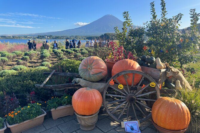 Mt. Fuji & Hakone Cherry Blossom private One Day Tour - Gotemba Premium Outlets: using the last stretch of the day well