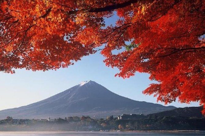 Mt Fuji & Hakone Cruise, Drum Show Bus 1 Day from Tokyo - Lake Ashi cruise on Sorakaze: short time, big scenery pay-off