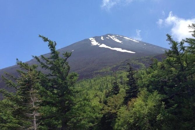 Mt Fuji & Hakone Cruise, Drum Show Bus 1 Day from Tokyo - Odawara option and the return to Tokyo without drama