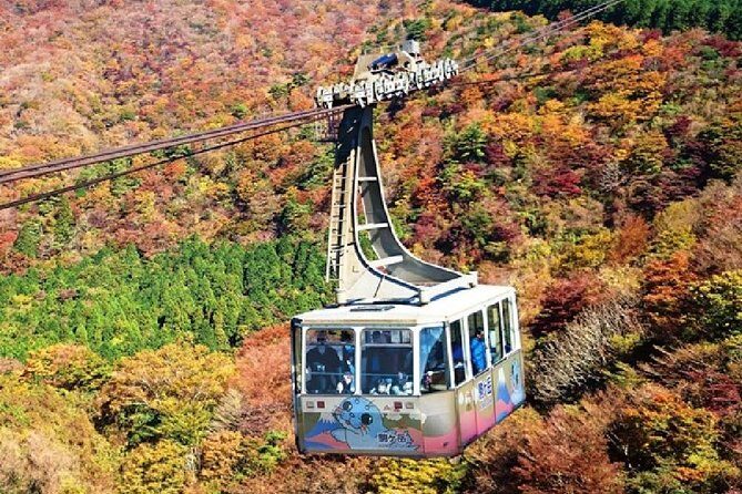 Mt Fuji & Hakone Cruise, Drum Show Bus 1 Day from Tokyo - Who this Fuji and Hakone cruise day trip suits best
