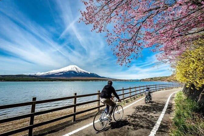 Mt fuji & Hakone customizable day tour w/ English speaking driver - Choosing your route: 6 options that match different moods