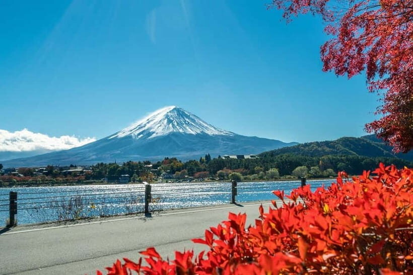 Mt.Fuji Hakone Day Tour With Lake Ashi Cruise, FREE Ropeway - Lake Ashi Cruise and the Hakone Pirate Ship View Strategy
