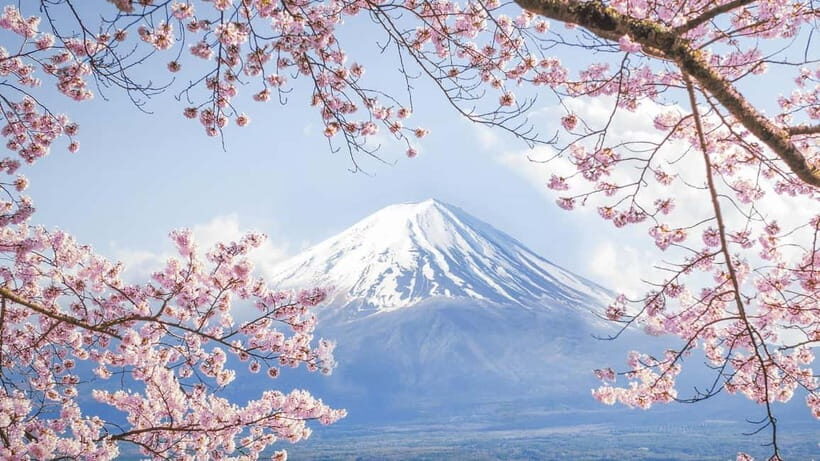 Mt.Fuji Hakone Day Tour With Lake Ashi Cruise, FREE Ropeway - Price and Value: Is $58 a Good Deal for This Fuji Day?