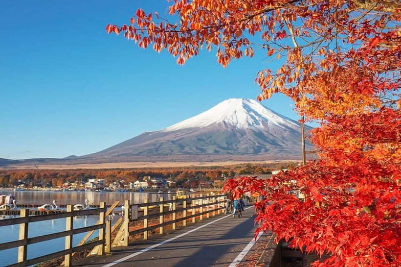 Mt Fuji Hakone/Enoshima Tour:Optional Ropeway/Lake Ashi Boat - Key takeaways before you go