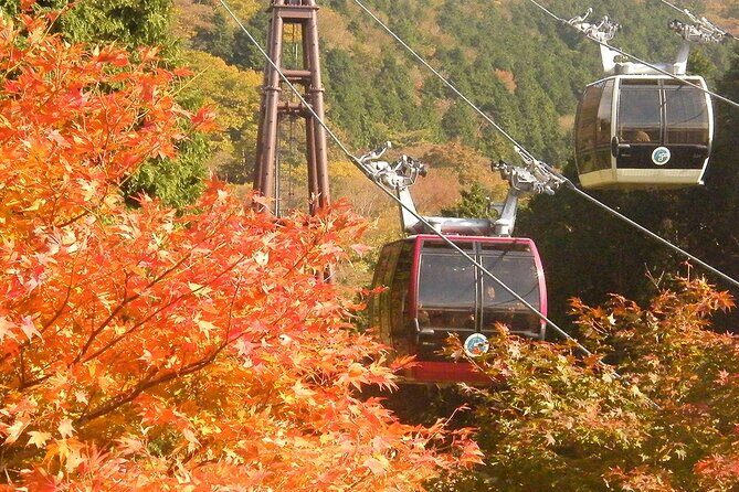 Mt. Fuji & Hakone: Fuji Sengen Shrine, Cruise, and Ramen-Making - Shinjuku Start: Early Morning, Real Comfort, Clear Momentum