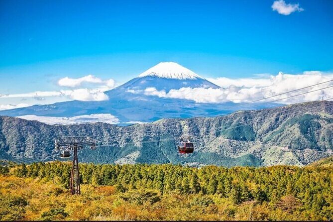 Mt. Fuji, Hakone Full-Day Private Tour with English Driver - Stop 1: Mt. Fuji 5th Station at 2,300m (entrance fee)
