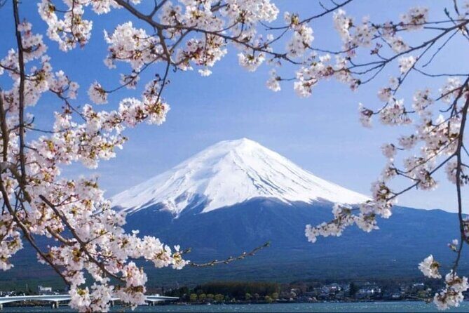 Mt. Fuji, Hakone Full-Day Private Tour with English Driver - Stop 3 and 4: Chureito Pagoda steps and Oishi Park calm