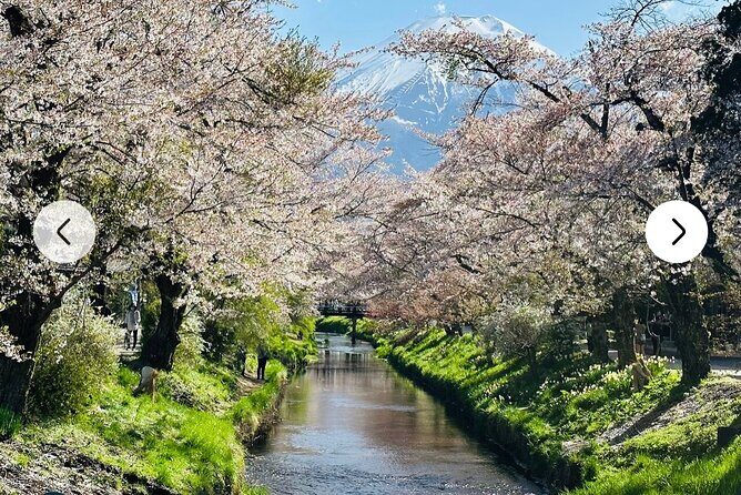 Mt. Fuji, Hakone Full-Day Private Tour with English Driver Guide - Lake Kawaguchiko: the Fuji postcard stop, with options that change the vibe