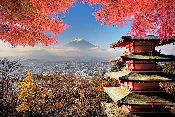 Mt Fuji, Hakone Private Tour by Car Pickup from Tokyo - Key things that make this tour work so well