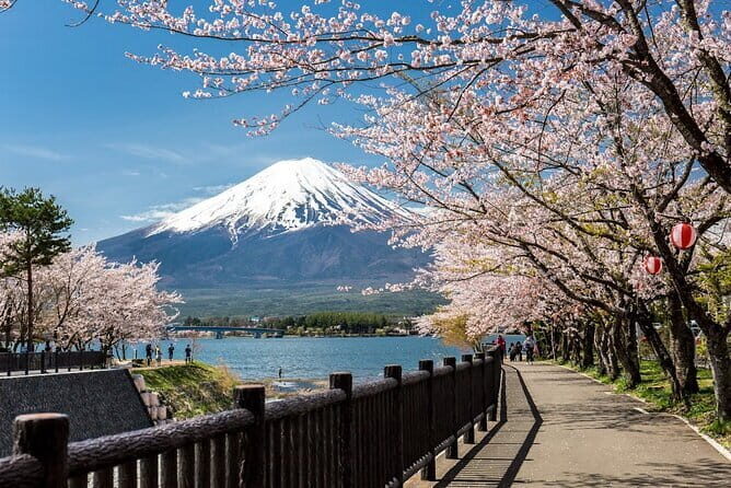 Mt Fuji, Hakone Private Tour by Car Pickup from Tokyo - Why a Private Car Day Trip Beats Tokyo Trains to Fuji