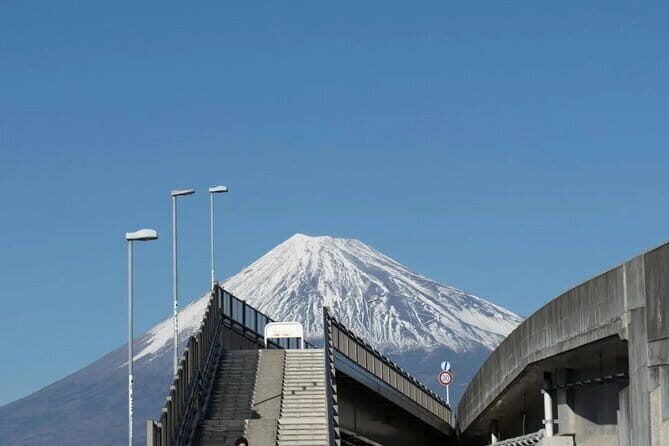 Mt Fuji, Hakone Private Tour by Car Pickup from Tokyo - Lake Kawaguchiko: Fuji Meets Seasonal Flower Power