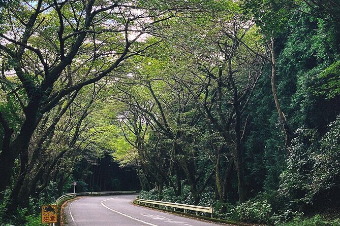 Mt. Fuji, Hakone Private Tour from Tokyo - Onsen, Arts and Nature - Hakone Shrine, Lake Ashi Torii, and the Turnpike Views