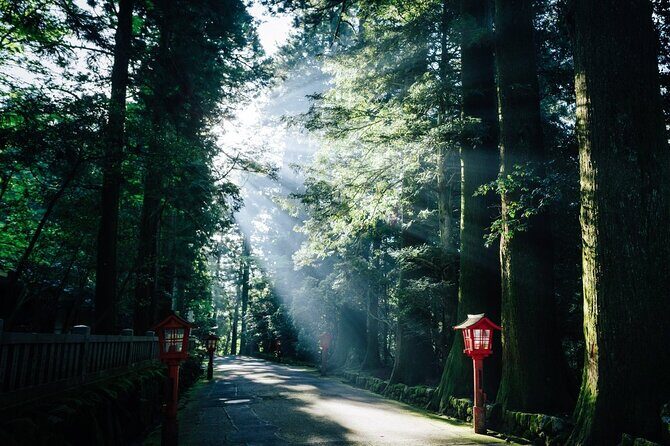 Mt. Fuji, Hakone Private Tour from Tokyo - Onsen, Arts and Nature - Tenzan Tohji-kyo Onsen: Where the Day Actually Becomes Vacation