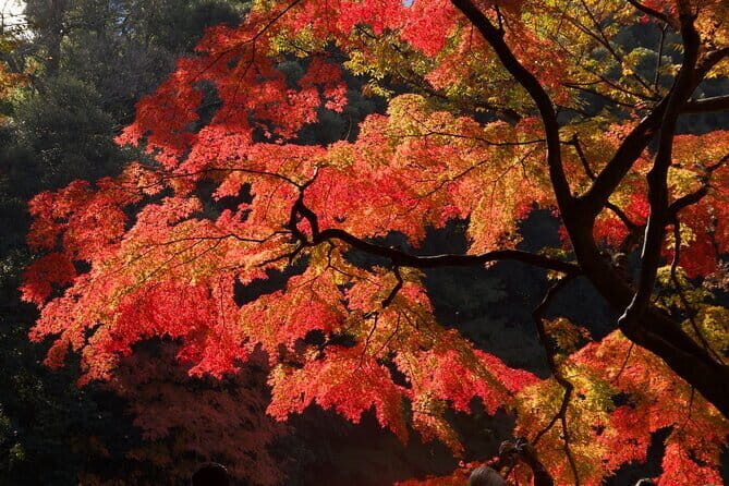 Mt Fuji & Hakone Private Tour from Tokyo: Return by Bullet Train - Oshino Hakkai: crystal-clear ponds fed by Fuji groundwater
