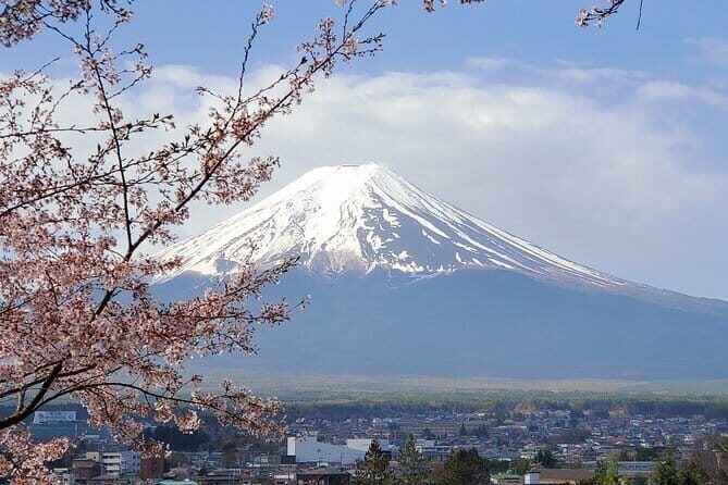 Mt Fuji & Hakone Private Tour from Tokyo: Return by Bullet Train - Morning pickup from Tokyo at 8:00 am