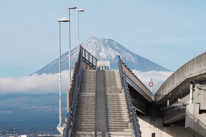 Mt. Fuji Highlight Photo Spots One Day Tour from Tokyo - How This One-Day Mt. Fuji Tour Saves You From Tokyo Logistics