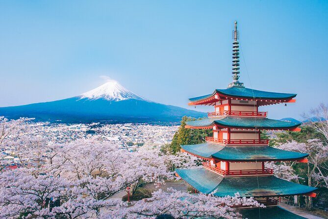 Mt. Fuji Highlight Photo Spots One Day Tour from Tokyo - Oishi Park and Seasonal Flowers: Fuji With a Color Backdrop