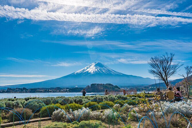 Mt. Fuji Highlight Photo Spots One Day Tour from Tokyo - Obuchi Sasaba Tea Fields: Fuji Above Emerald Rows