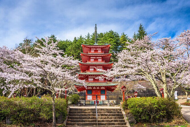 Mt. Fuji Highlight Photo Spots One Day Tour from Tokyo - The Guide Experience: Timing, Coordinates, and Quick Help When You Need It