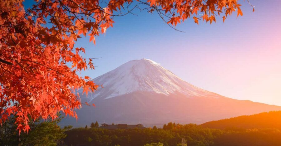MT.Fuji: Mount Fuji Private day Tour With Guide - Kitaguchi-hongu Fuji Sengen Shrine: cedar canopy and the big torii