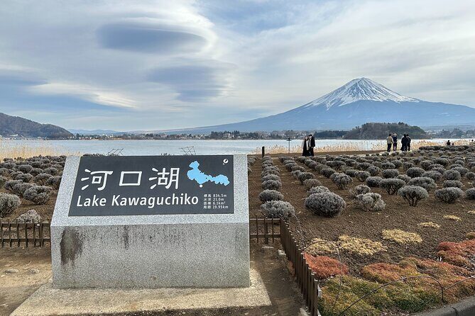 Mt. Fuji, Oishi Park & Arakurayama Pagoda Bus Tour with Lunch - Arakurayama Sengen Park and Chureito Pagoda: the stairs are the deal