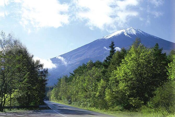Mt. Fuji, Oishi Park & Arakurayama Pagoda Bus Tour with Lunch - Timing, weather, and why your plan should stay flexible