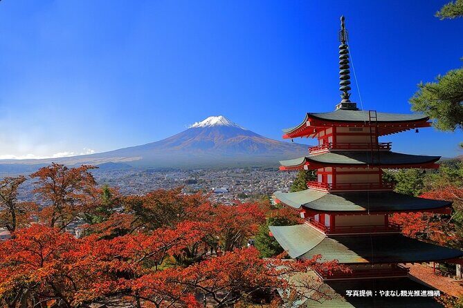 Mt. Fuji, Oishi Park & Arakurayama Pagoda Bus Tour with Lunch - Oishi Park: the Fuji-over-the-lake moment you actually want