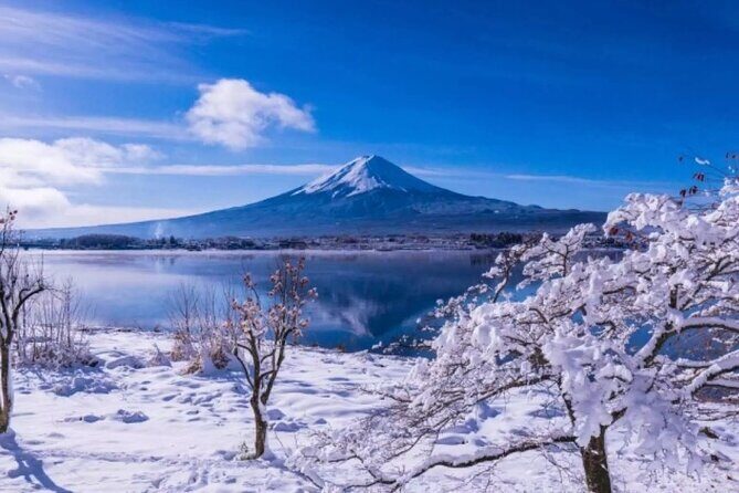 Mt. Fuji Panoramic Ropeway, 5th Station, And Oshino Hakkai Tour - The reliability factor: weather and schedule changes are real
