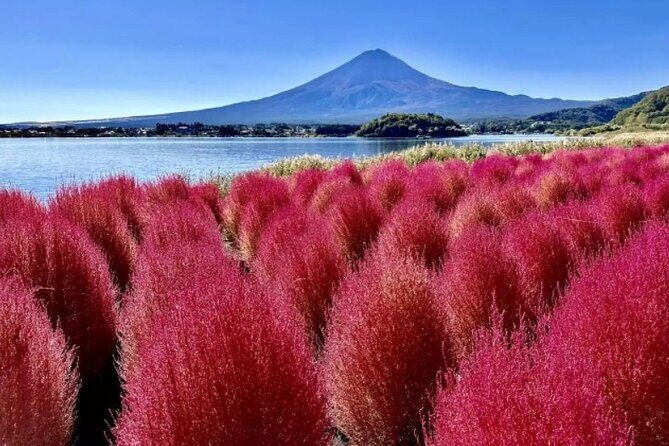 Mt. Fuji Panoramic Ropeway, 5th Station, And Oshino Hakkai Tour - Lunch and timing: what the included meal really does for your day