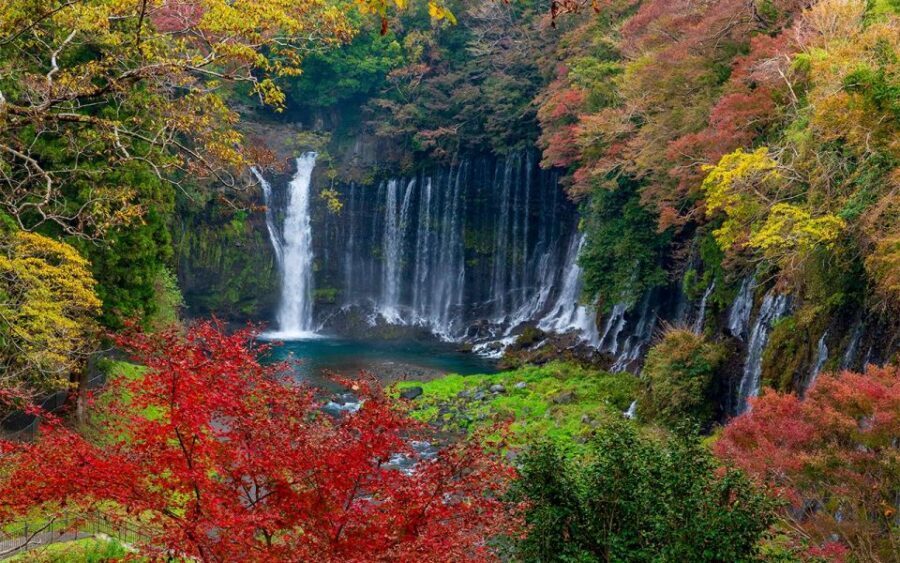 Mt Fuji : Private 10-Hour Luxury Tour by Exclusive Car - Luxury Car Meets Mt. Fuji Reality: What This Day Trip Is Really Like