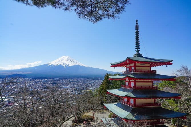 Mt. Fuji Private Chartered Tour with Nature and Wasabi Farm - Arakura Fuji Sengen Shrine and the five-story pagoda viewpoint