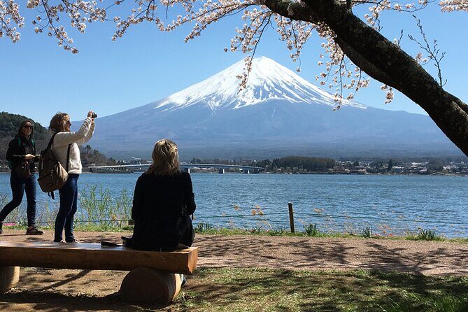 Mt Fuji Private Day Tour from Tokyo with English Speaking Driver - Key things to know before you go