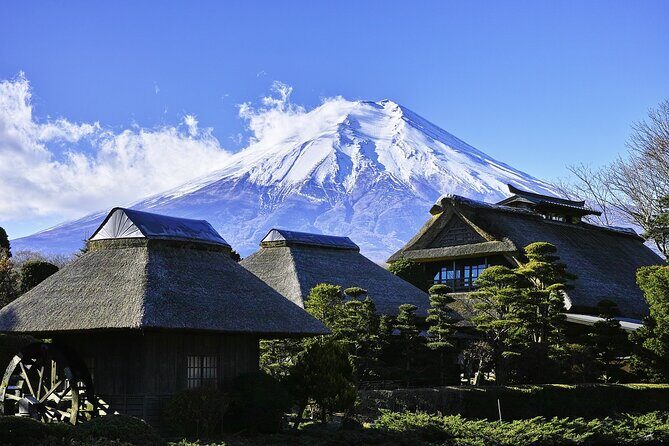 Mt Fuji Private Day Tour from Tokyo with English Speaking Driver - Private Mount Fuji Day Tour: why this format works