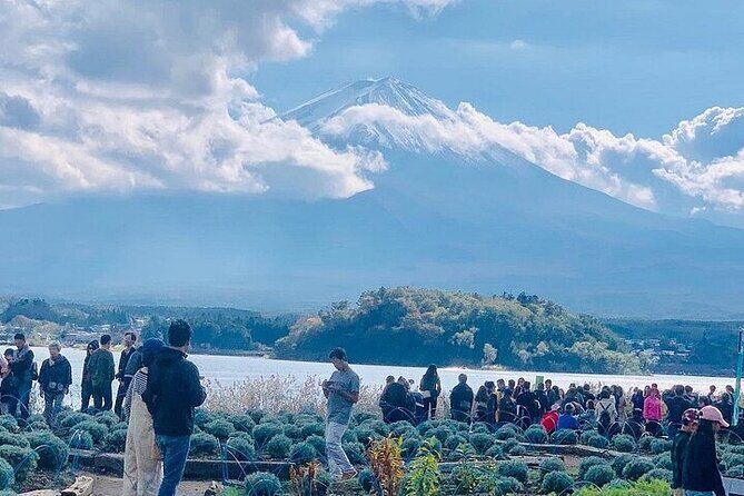 Mt Fuji Private Day Tour from Tokyo with English Speaking Driver - Fees and tickets: what’s included vs. what costs extra