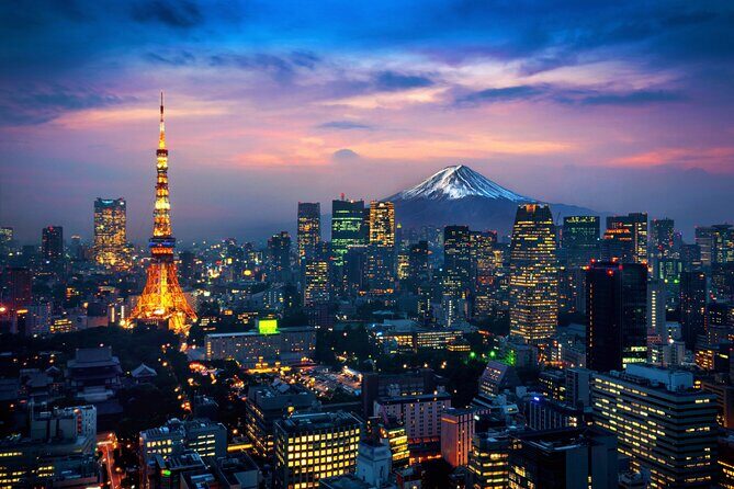Mt Fuji Private Day Tour from Tokyo with English Speaking Driver - Price and value for a group of up to 5