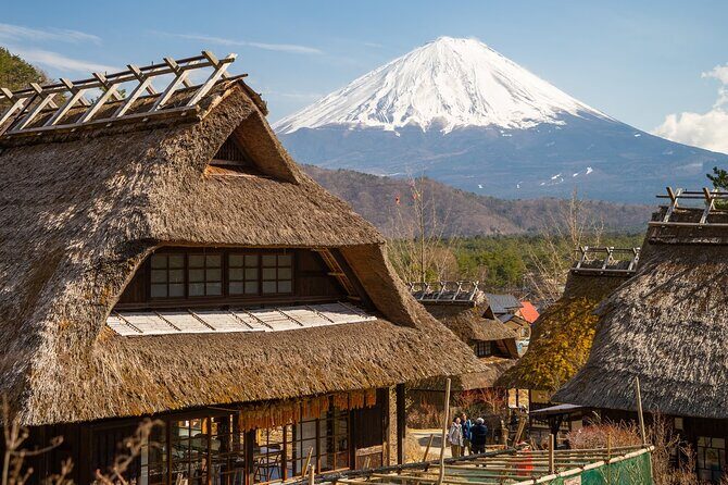 Mt Fuji Private Day Trip from Tokyo with English Speaking Driver - Why a private Fuji day feels worth it (even if you have only one day)