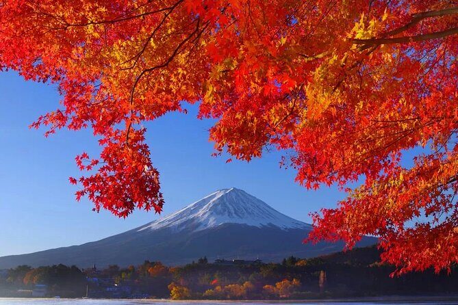 Mt Fuji Private Day Trip from Tokyo with English Speaking Driver - Oshino Hakkai: eight clear ponds and an easy opening win