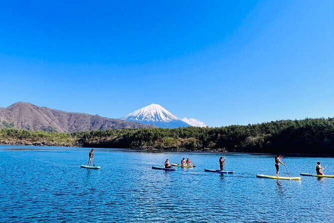 Mt Fuji Private Day Trip from Tokyo with English Speaking Driver - Iyashi no Sato Nenba: a reconstructed village break from the views