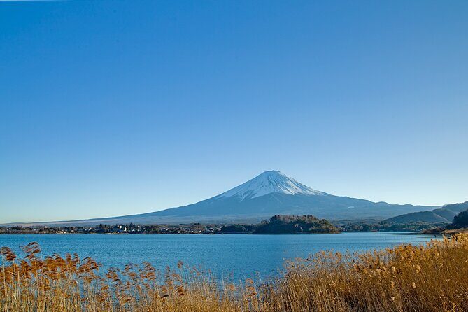 Mt Fuji Private Day Trip from Tokyo with English Speaking Driver - The 8:00 am start: how this day trip really runs