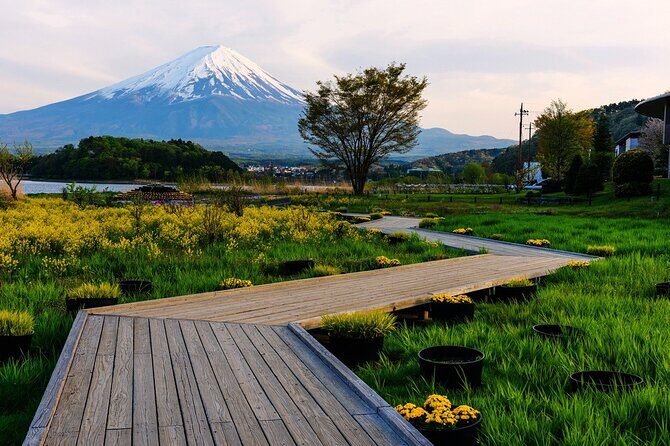 Mt.Fuji Private SightSeeing Day Tour (From Tokyo) - Oishi Park: flowers, soft serve, and a tiny Fuji made of rocks